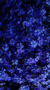 Purple combines the calm stability of blue and the fierce energy of red. Purple Blue Flower Wallpapers Wallpaper Cave
