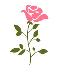 Seeking more png image null? Free Flower 1190427 Png With Transparent Background