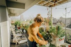 We moved and it's been super busy with life, but we were finally able to build our dream greenhouse. Ultimate Guide To Los Angeles Urban Farming And Starting An Urban Garden The Neighbor Blog