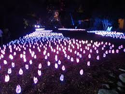 The Enchanted Forest Of Light Installation At Descanso Gardens Holiday Lights Lights Garden Lighting