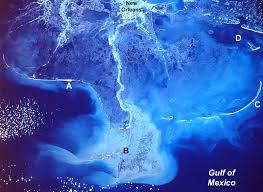 River braiding landforms delta upstream course lower landform slideshare direction location mouth usually found. World S Large River Deltas Continue To Degrade From Human Activity
