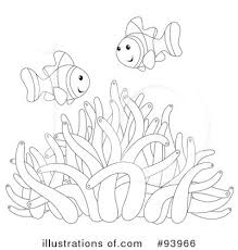 Tsbs and pink streaked wrasses are now very rare, and extremely expensive. Clownfish Clipart 93966 Illustration By Alex Bannykh