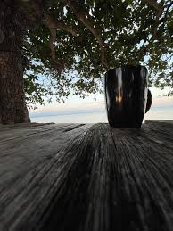 Profile for Patrick Alberto