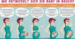 Ein Baby Wachst Im Bauch Nurtinger Zeitung