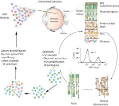 Image result for Dark Hunter Green 1998 AAV