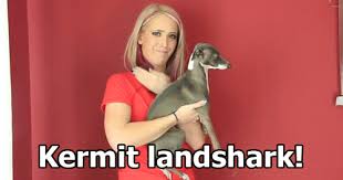 See more ideas about jenna marbles, jenna and julien, she dog. Creator Youtuber Of The Week Peer Jacks