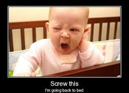 Back To Bed Funlexia Funny Pictures