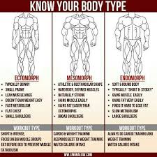 Build Every Muscle In The Body The More You Know Post Best Workout Routine Body Types Fun Workouts