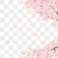 Tinta Pintados A Mano Hebilla Material Libre De Arboles De Cerezo Cherry Blossom Petals Cherry Blossom Art Pink Background Images