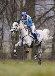 Pin By Alsosusieq2 On Awesome Images Horses Horseback Riding Sport Horse