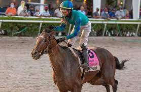 The 2021 kentucky derby field is set. Guide To Saturday S Trio Of Major 2021 Kentucky Derby Preps