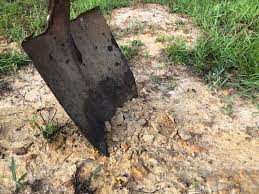 Clay soils are highly structured at the atomic level, much as crystals are. Improve Clay Soil For New Or Existing Lawns Thriving Yard