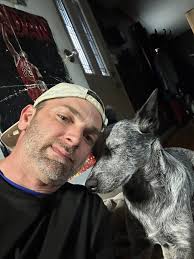 Benefits of owning a blue heeler dog