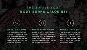Oct 30, 2020 · in general, the more you weigh, the more calories you'll burn while sleeping. The Challenges And Limitations With Calorie Counting Whoop