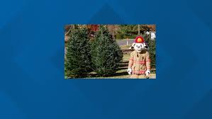 Check spelling or type a new query. Looking For A Christmas Tree The Colonial Park Fire Company Is Selling Them Fox43 Com