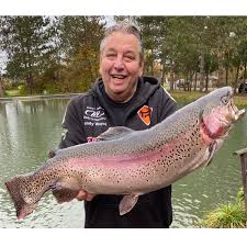 Sie tummeln sich in allen gewässerschichten, sind sehr agil und die bisse folgen oft schlag auf schlag. Zielfisch Forelle So Fangen Sie Am Forellensee Fisch Fang