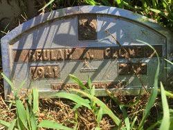 Beulah Ann Gray Clover (1941-2013)