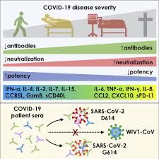 721 cas pour 100 000 habitants. Covid 19 Neutralizing Antibodies Predict Disease Severity And Survival Sciencedirect