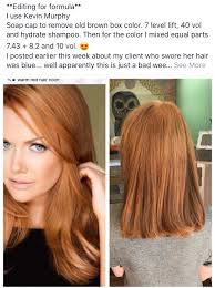 This formula can be used to repair and restore very damaged hair that has undergone frequent bleaching, coloring, and heat styling. Pin By Tina On Red Hair Hair Color Formulas Strawberry Blonde Hair Red Balayage Hair