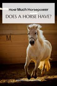 Northmen - How Many Horsepower Can A One Horse Have? | Facebook
