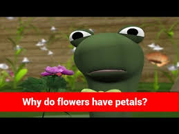 We did not find results for: Amazing Facts For Kids Why Do Flowers Have Petals Kids Video Show Youtube