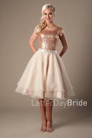 Modest Prom Styles For 2017 Latterdaybride Prom Slc Utah Worldwide Shipping Annie This Prom Dresses Modest Modest Homecoming Dresses Modest Prom