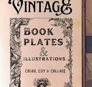 Vintage Book Plates & Illustrations Vol. 1: Color, Cut ...