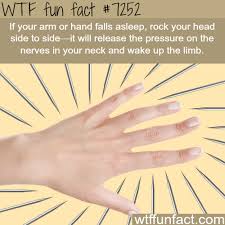 What To Do When Your Arm Falls Asleep Wtf Fun Wtf Fun Facts Fun Facts Funny Weird Facts
