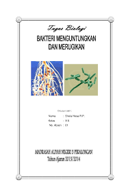 5 bacillus anthracis penyakit yang ditimbulkan adalah antraks 6 bacterium papaye menyerang tanaman pepaya 7 brucella abortus brucellosis pada. Jenis Bakteri Yang Menguntungkan Dan Merugikan