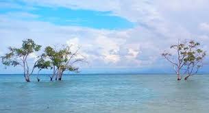 We did not find results for: Pantai Sebalang Htm Rute Foto Ulasan Pengunjung