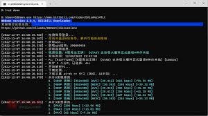 哔哩哔哩下载器BBDown v1.5.4/命令行视频下载器| 芊芊精典