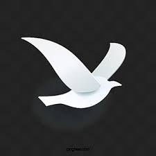 White Dove Illustration White Pigeon Illustration Png Transparent Clipart Image And Psd File For Free Download Dove Images Geometric Poster Peace Dove