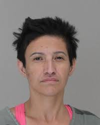 Dallas County Online Jail Search