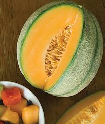 Cantaloupe muskmelon ambrosia hybrid melon is a trusted hybrid that has been relied on for years! Cantaloupe Sweet N Early Hybrid Garden Seeds And Plants