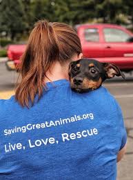 Capital district humane association is a 501(c)(3) not for profit organization. Petfinder Kitsap County The Y Guide