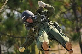 Army Airborne Pft Military Com