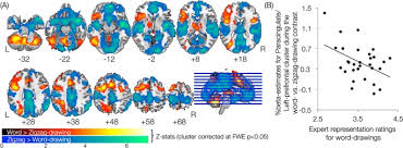 Pictionary Based Fmri Paradigm To Study The Neural Correlates Of Spontaneous Improvisation And Figural Creativity Scientific Reports
