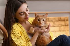 Cats also have an increased suceptibility because they lack some metabolic pathways in the liver that would in some cases liver disease may cause fluid to accumulate in the abdomen (ascites); Matters Of The Heart Educating Clients About Feline Heartworm Disease Prevention Dvm360