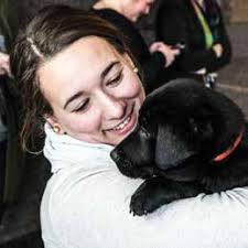 HSMO Animal Cruelty Task Force and Disaster Response Team: At the Ready  Statewide 24/7/365