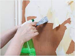 578 22 Old Wallpaper Removal Ideas
