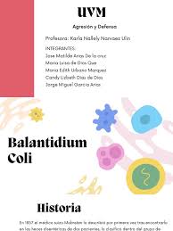 Image result for Balantoides Coli