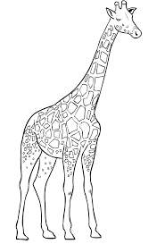 Você já quis conhecer a criatura mais espantosa do deserto? Desenhos De Girafas Para Colorir