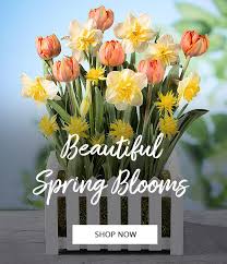 Order flowers for the cardinal funeral home online, or phone us. Toronto Florist Flower Delivery Toronto Ontario Flower Shop Flowers Of The World