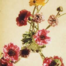 Maybe you would like to learn more about one of these? It S Scientifically Proven That Flowers Make You Feel Better Vogue