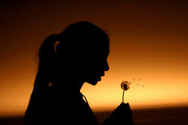 Resultado de imagen para wish