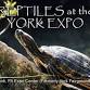 Reptiles At The York Expo Center event image