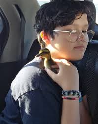 Introduction and photo of abyssinian cat