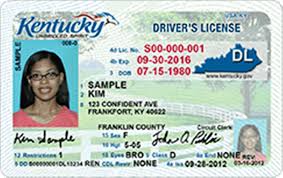 What is my state id number. Drive Ky Gov Real Id Vs Standard Id