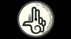 Image result for spiral tribe