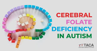 Image result for Folate Deficiency